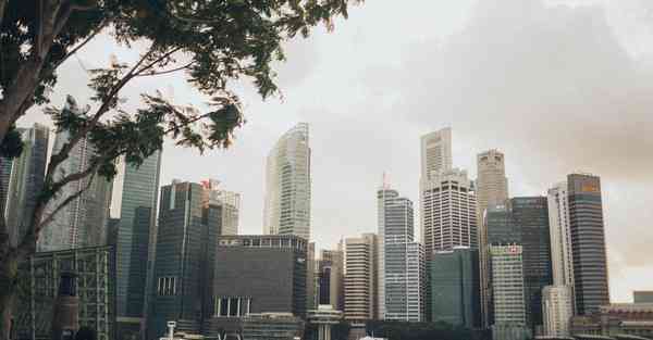 贵阳制作宣传片_贵阳制作短视频营销案例