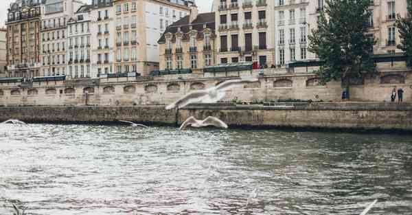 制作宣传片侵权_制作宣传单的软件
