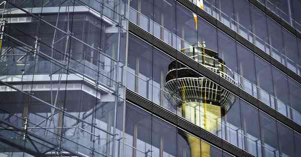 生物宣传片制作_生物宣传小报