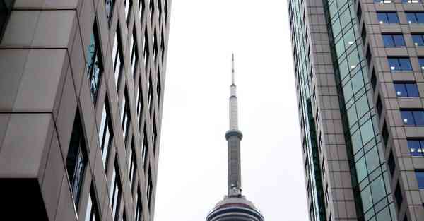 轻松制作的美食_轻松制作花盆模具