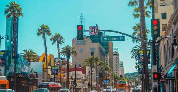制作小麦宣传片_制作小麦视频教程