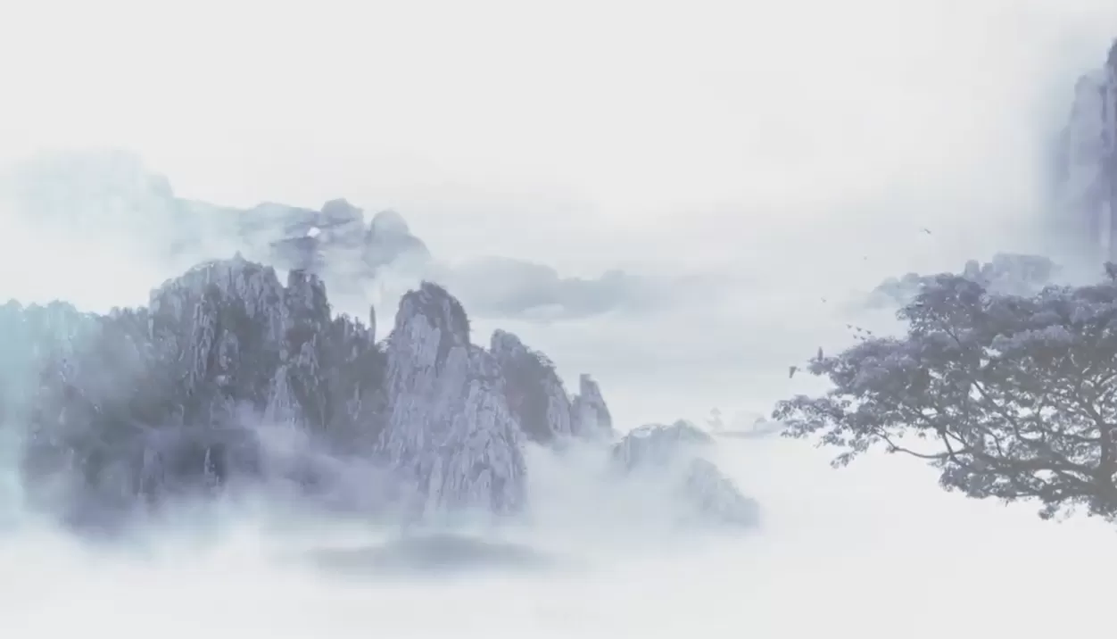 牧桐金融