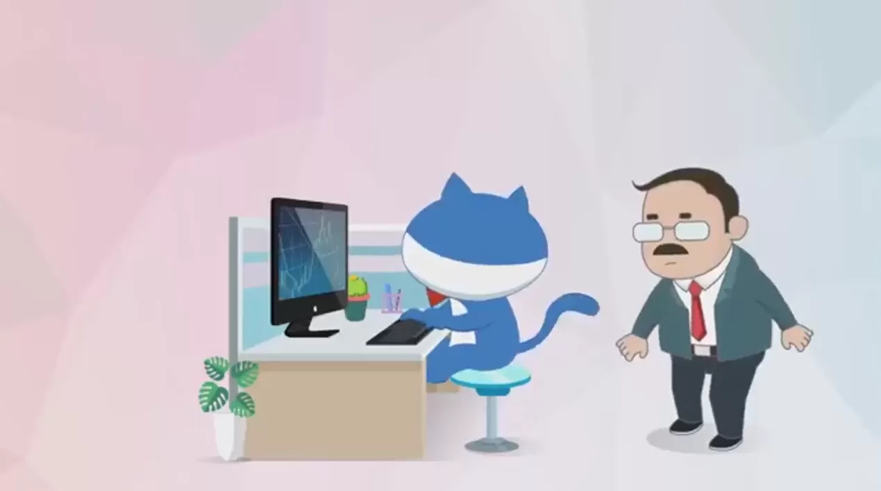 肥猫理财